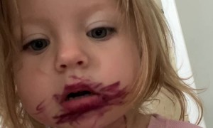 The Cutest Makeup Artist