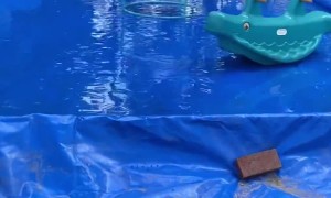 A Backyard Splash Pad