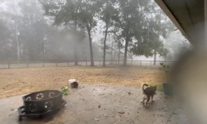 Wild Weather In Texas