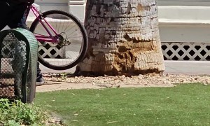 Bike Theft In Broad Daylight