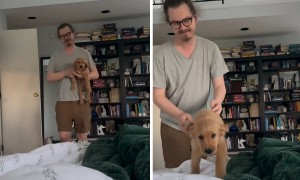 How do you sign up for this alarm setting?