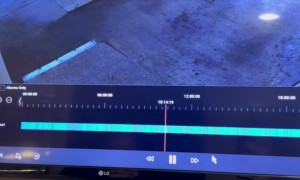 When You Forget to Put Your Car in Park