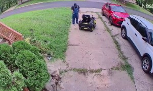 Lawnmower Somersaults