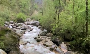 Man Finds a Lone Lamb in the Himalayas