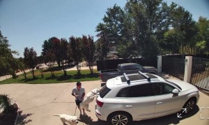 Excited Dog Does Parkour On Closed Car