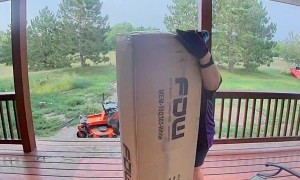 Puppy Excited For Delivery