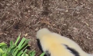 Three Misfits Meet For Merriment