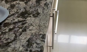 Bald Bird Named Blondie Wants Up