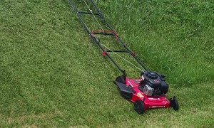 Perfect Solution For A Perfect Lawn