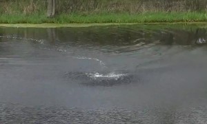 Out-of-Nowhere Waterspout