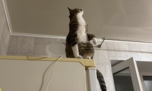 Not Sure About this Electrician