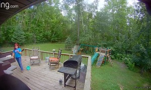 Angus the Angry Duck Strikes Again