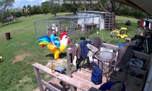 Husband Surprised With Inflatable Chicken Suit