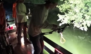 Carp Gets Revenge On Bowfishers