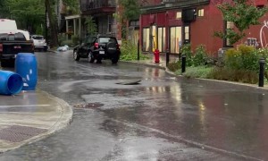 Canadian Ninja Turtles Attempt Sewer Escape