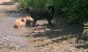 Lucy Loves Her Mud Baths