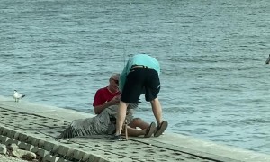 Freeing a Hooked Pelican