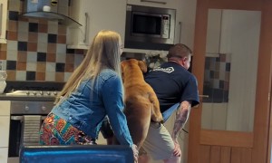 The Ultimate Conga Dance Trio