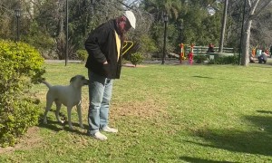 Lost Dog Reunited With Family