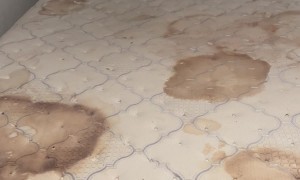 Guests React to Nasty AirBnB Beds