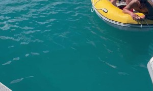 When the Rescuer Needs Rescuing