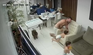 Dad Becomes Playtime Casualty