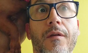 Dachshund Licks Dad's Head