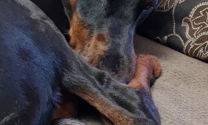 Kid Learns What Not To Touch