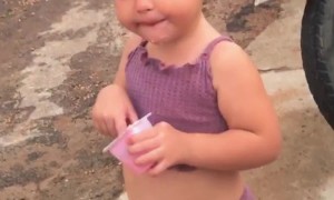 Twin Unbothered By Tantrum