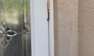 Snake Caught In Front Door