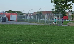 Entering A Restricted Area To Retrieve A Toy