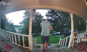 Dogs Give Delivery Driver A Surprise Greeting