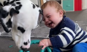 Boy's Laughter Is Extremely Contagious