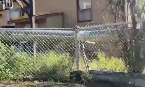 Wooden Swing Set Collapses On Playful Adults