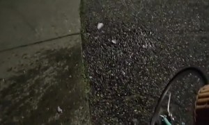 Bottle Breaks After Bouncing Out Of Bike's Basket