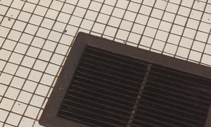 Sleepy Opossum Naps In Air Vent