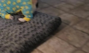 Finley Takes Bedtime Fashion to the Next Level