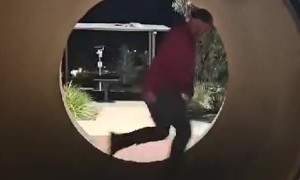 When Human Meets Hamster Wheel