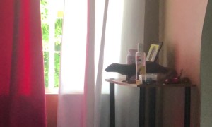 Jamaican Mongoose Invades Through The Window