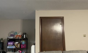 Perfect Dog To Binge A Season With