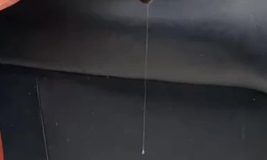 Labrador Long Drool Champion