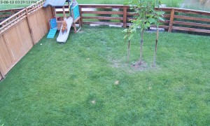 Security Camera Captures Slide Zoomies and the Sweetest Laugh