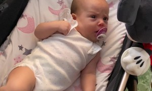 She Doesn't Quite Understand Minnie