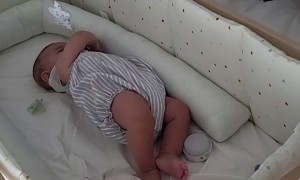 Dachshund Calms Crying Baby