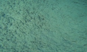 Carpooling in the Galapagos