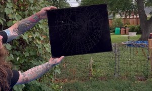 Preserving an Abandoned Spiderweb