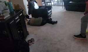 Puppy Is Excited To See Family