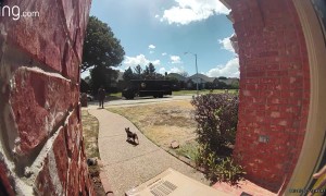 Tiny Dog Chases UPS Delivery Man
