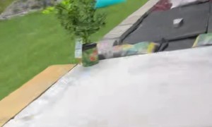 Light Blue Caught Slippin In The Yard