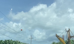 These Bananas Had To Split